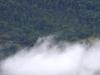 la maison sur les nuages